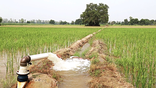 karshikarangam